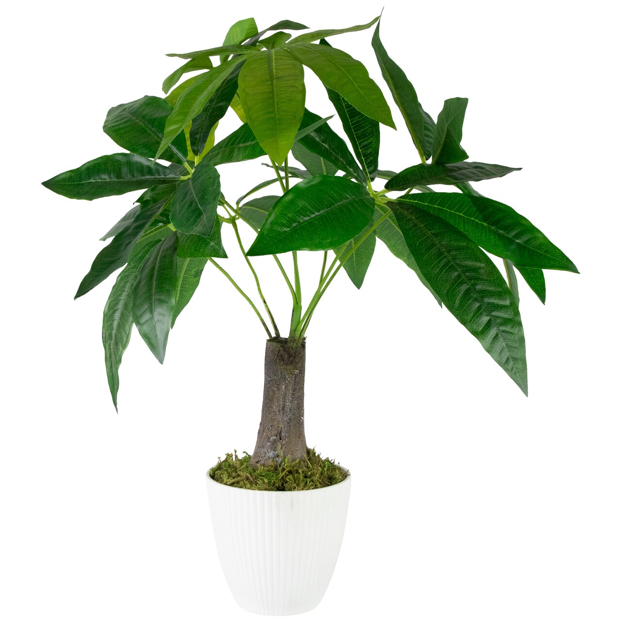 Northlight Artificial Money Tree Plant in Textured Lined Pot - 18.5"